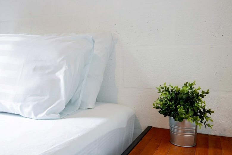 Hostal 239 Hostel Phuket