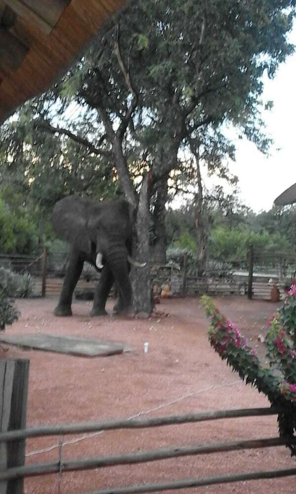 Thula Private Lodge