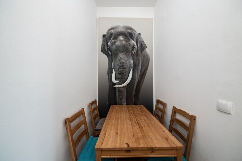Apartamentos The Kater