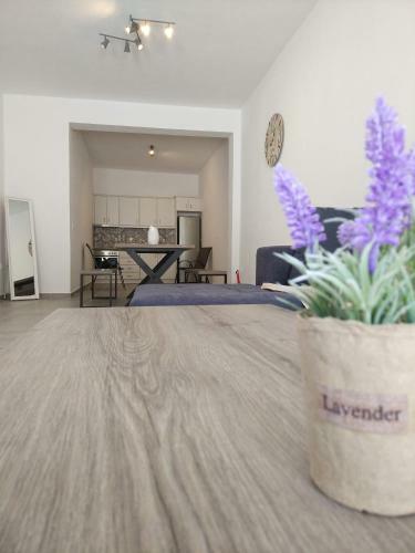 Apartamentos Papillon