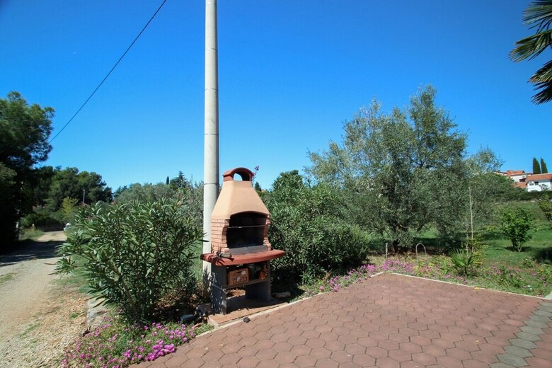 Apartamentos Viola