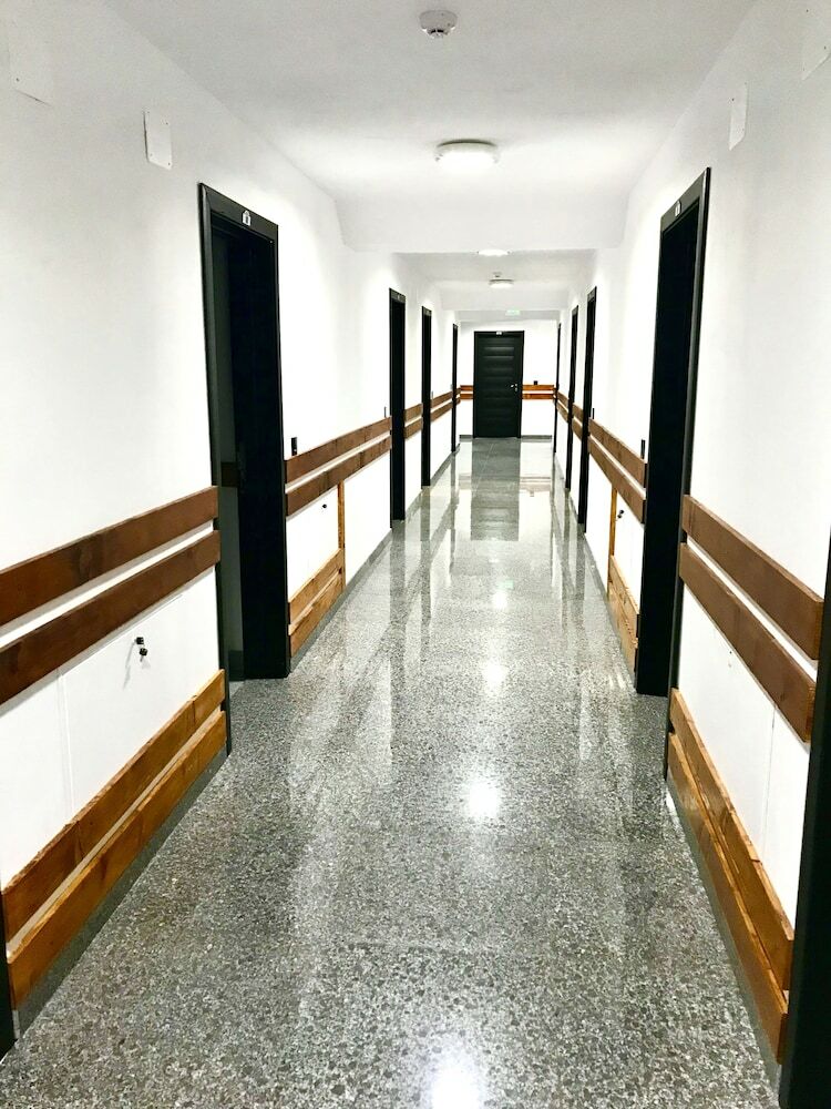 Cabana Sura Getilor Arinis