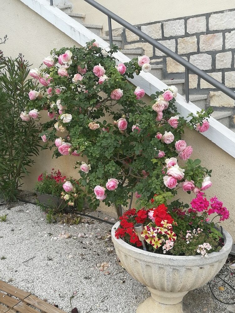 La F�liosa