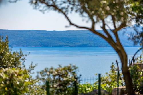 Apartments Davor