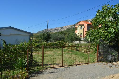 Apartments Drita