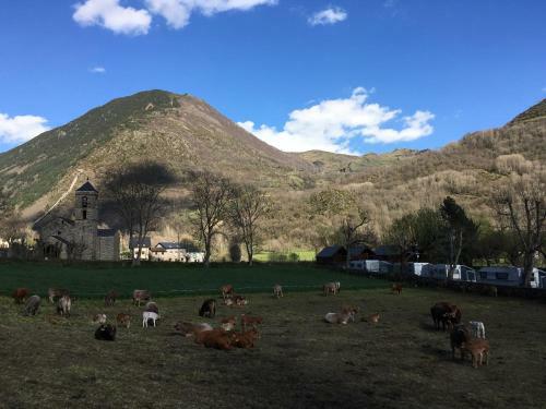 Camping Boneta