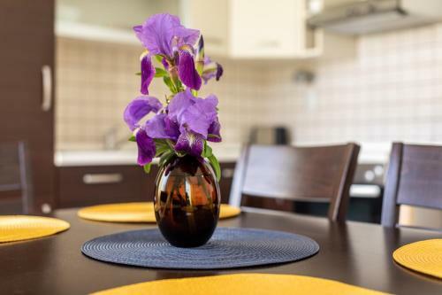 Apartment Magic Garden