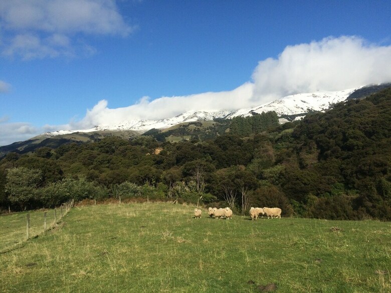 Kahikatea Retreat