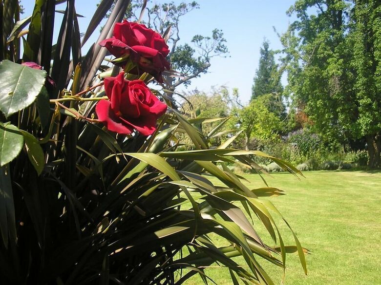 Bed & Breakfast Orchards Retreat