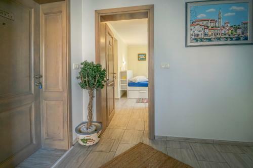 Apartments Apartim