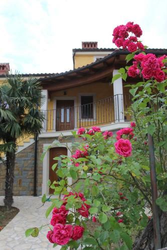 Apartments Apartim