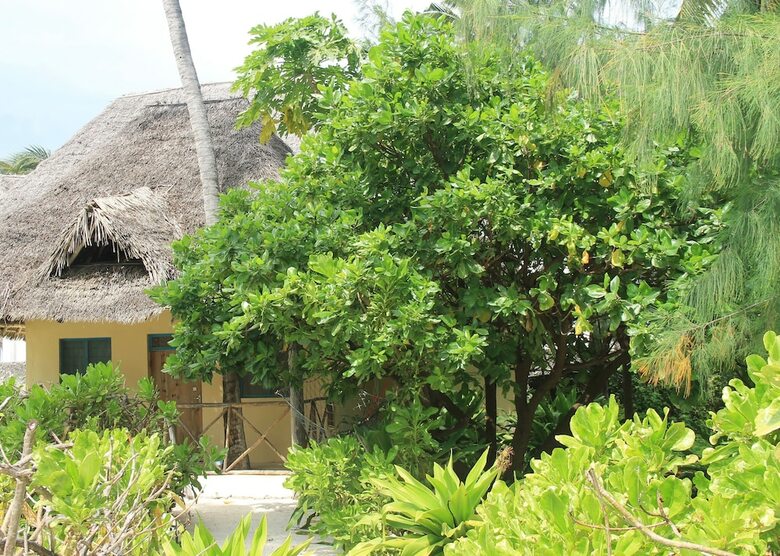 Posada Garden Beach Bungalows