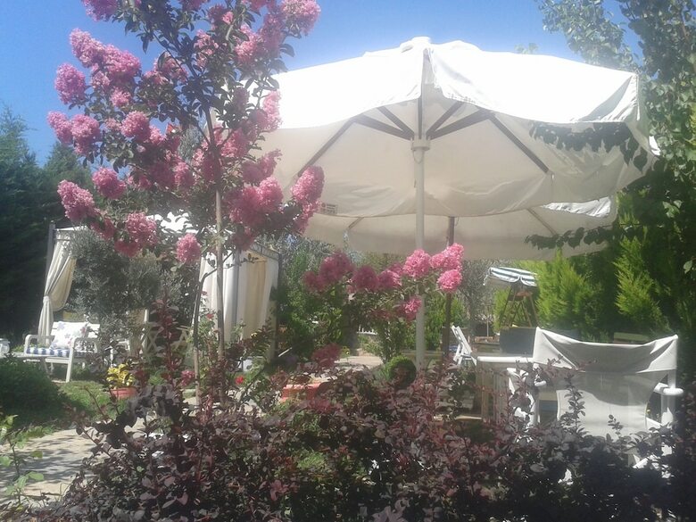 Bed & Breakfast Ege Han Otel