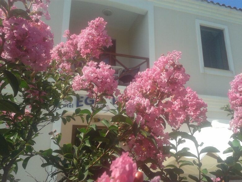 Bed & Breakfast Ege Han Otel