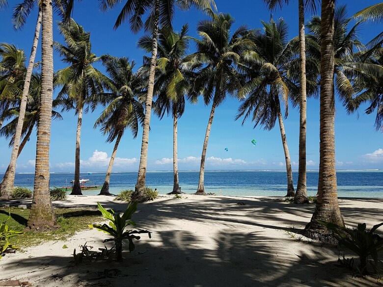 Mango Tree Siargao