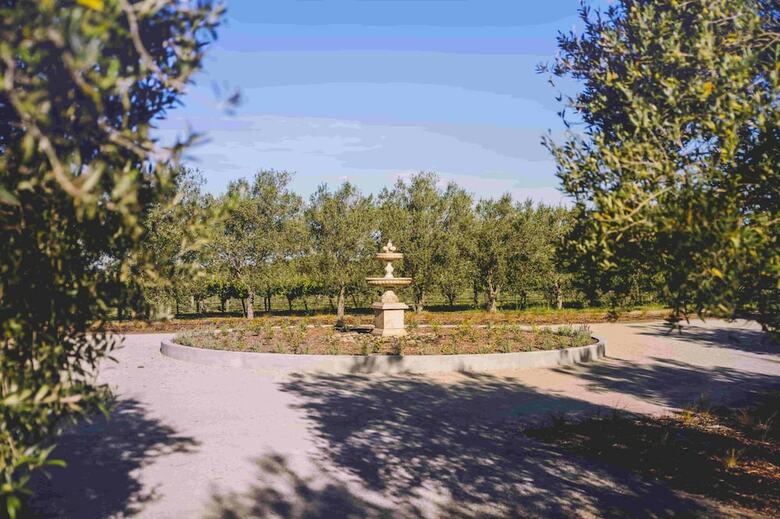 Olive & Vine Estate