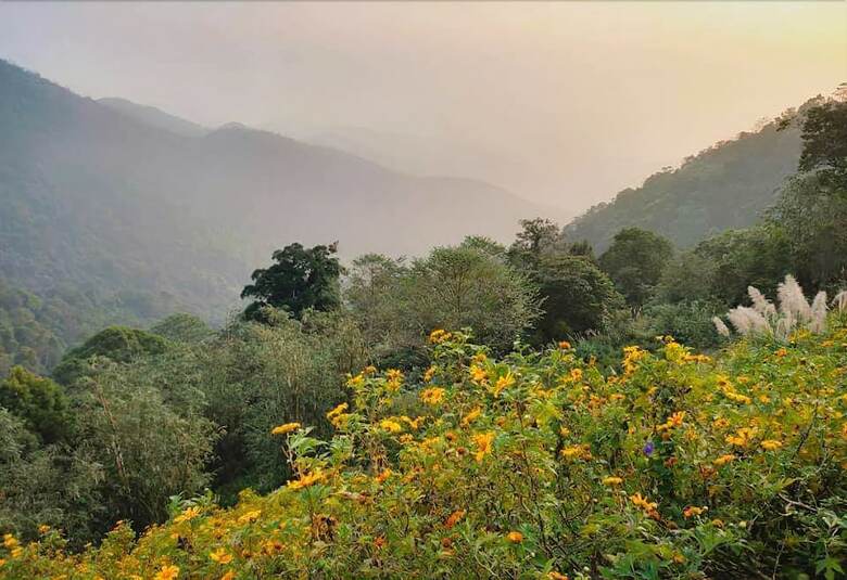 Hotel Le Vent Homestay Tam Dao
