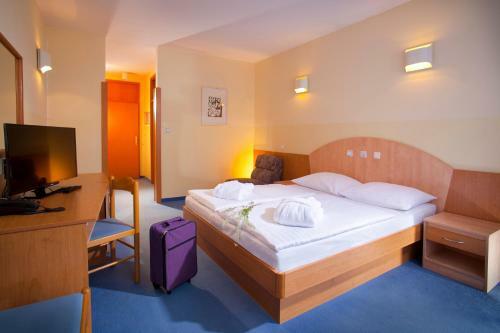 Terme Topolsica - Hotel Vesna