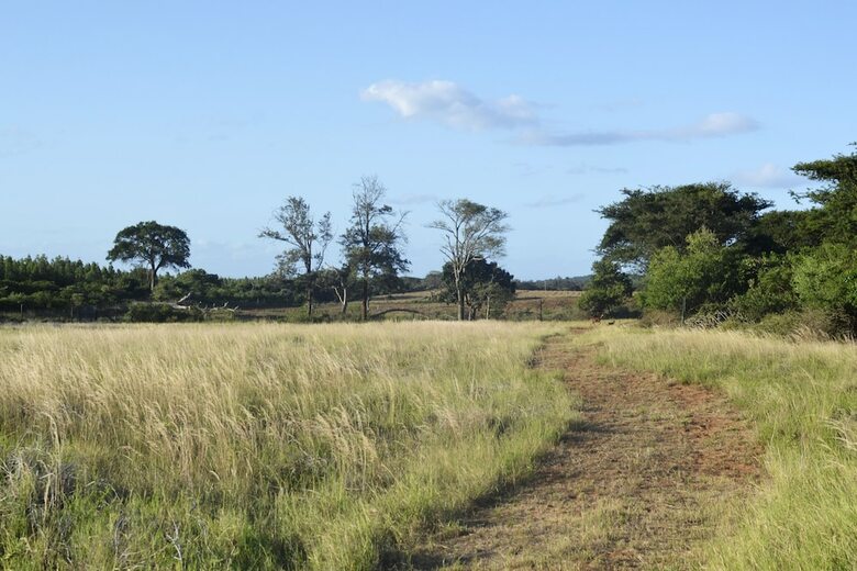 Hluhluwe Bush Camp