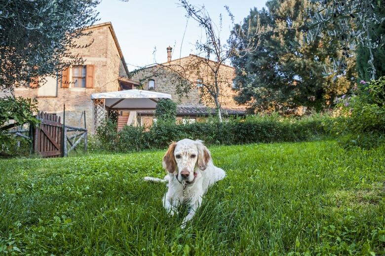 Apartamento La Ripa
