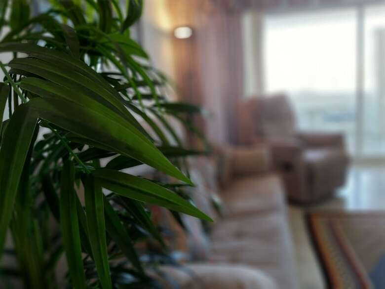 Apartamento Del Parque Flats Puerto Marina Isla