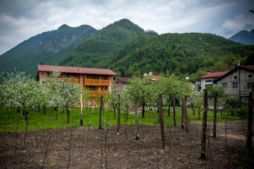 Apartments Masera