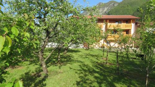 Apartments Masera