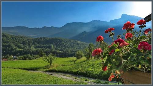 Holiday Home Krn