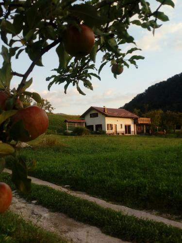 Holiday Home Krn