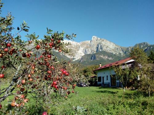 Holiday Home Krn