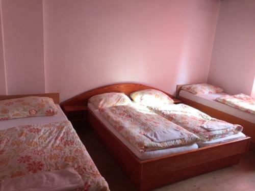 Youth Hostel Nika