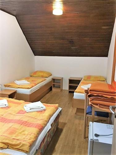 Youth Hostel Nika