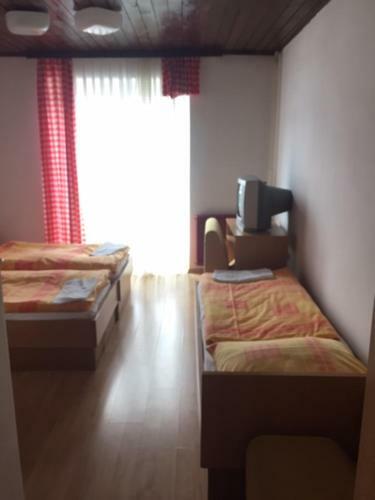 Youth Hostel Nika