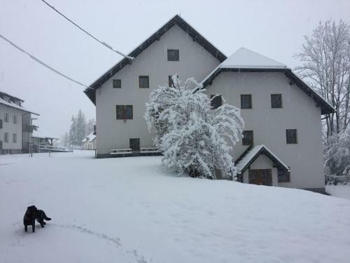 Youth Hostel Nika