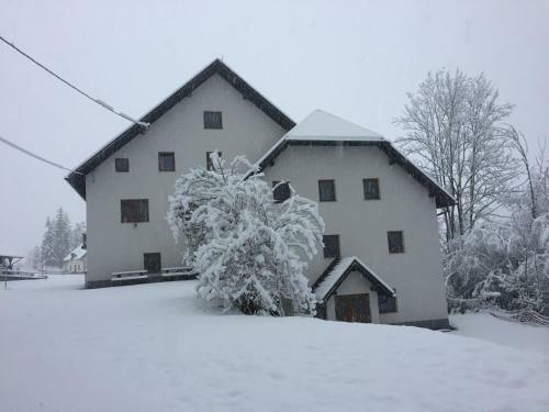 Youth Hostel Nika