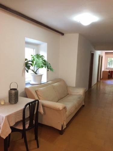 Youth Hostel Nika
