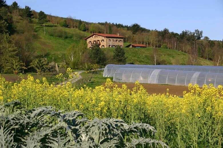 Agroturismo Casa Rural Lurdeia - Adults Only