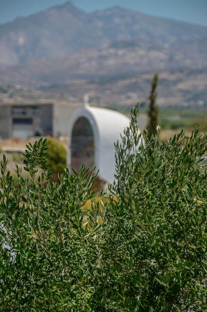 Olives & Rocks Naxian Villas