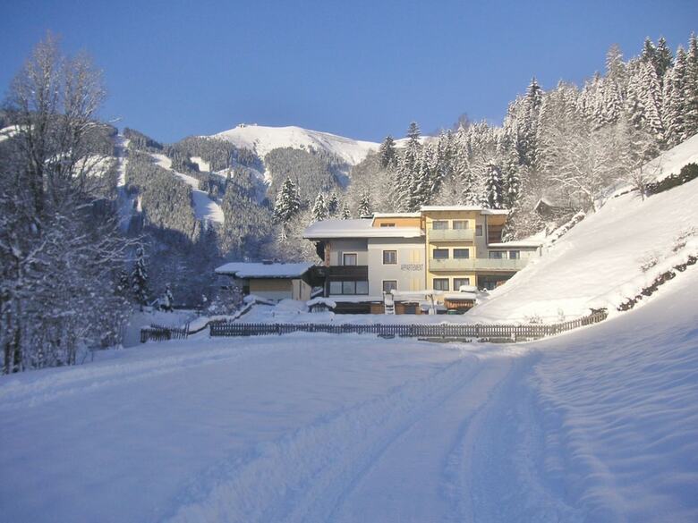 Charming Apartment In Zell Am See With Mountain Views