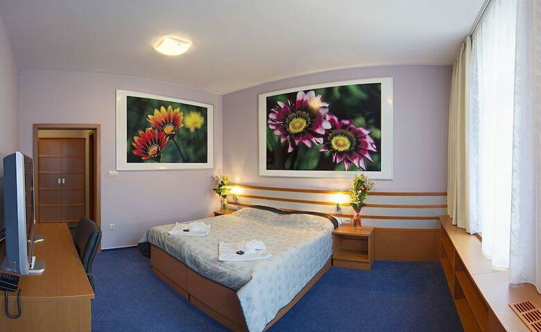Hostal Hotel Air