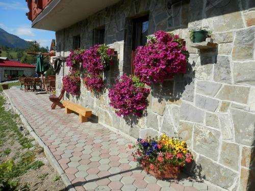 Hostal Penzion Vikt�ria