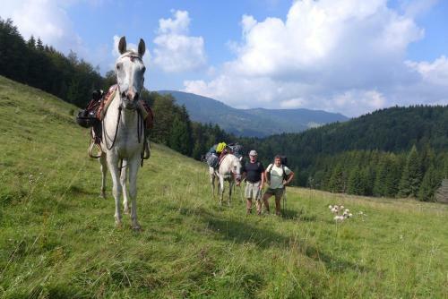 Hostal Penzion-ranc U Trapera