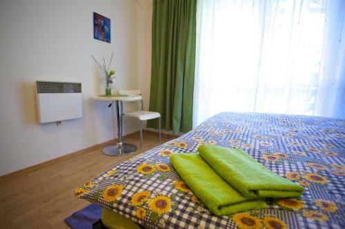 Apartamentos Studio Erika- Spie?ovec