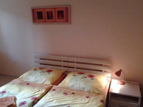 Apartments Blue Danube