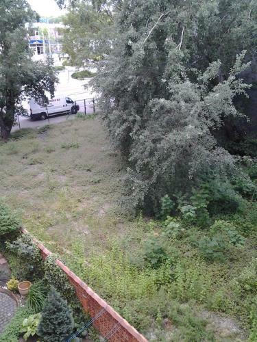Apartments Blue Danube