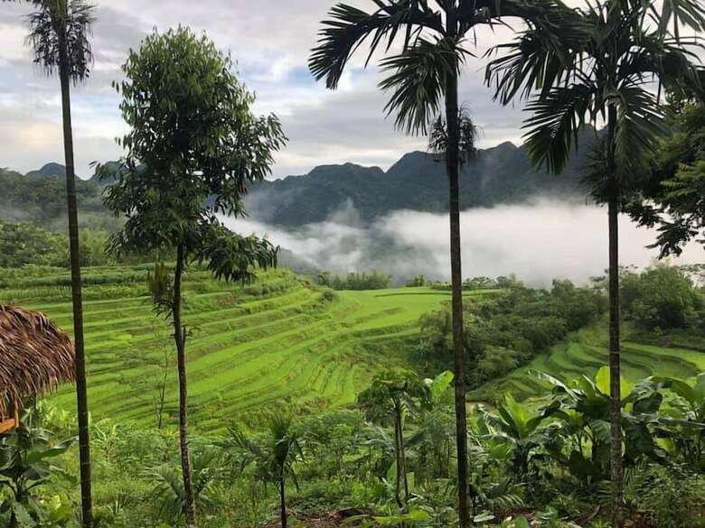 Hostal Pu Luong Discovery - Hostel