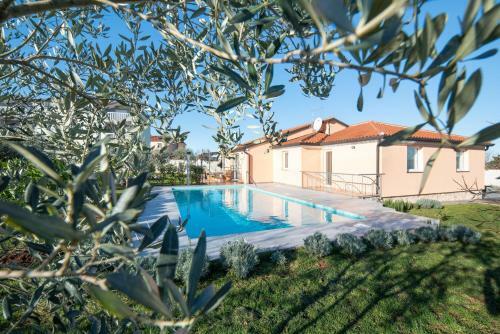 Olive & Lavender Villa With Pool