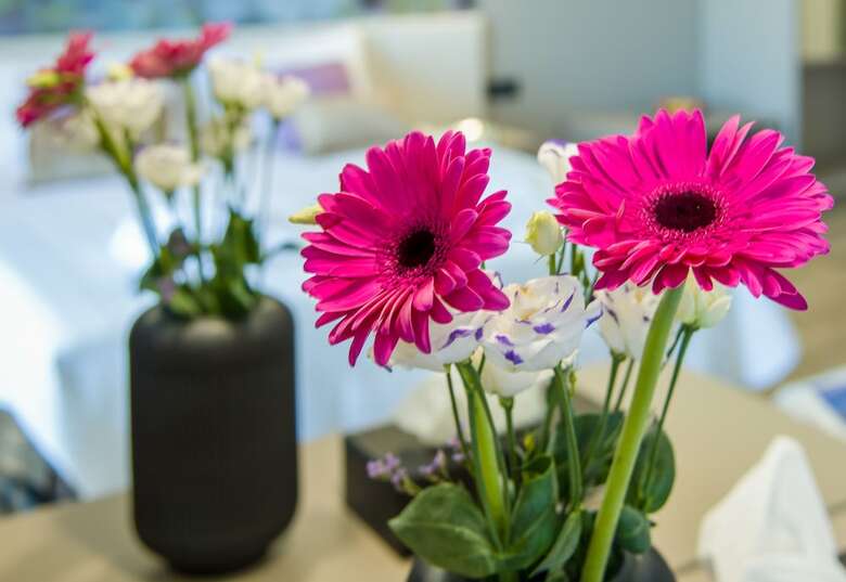 Hotel Incognito Creta Luxury Suites