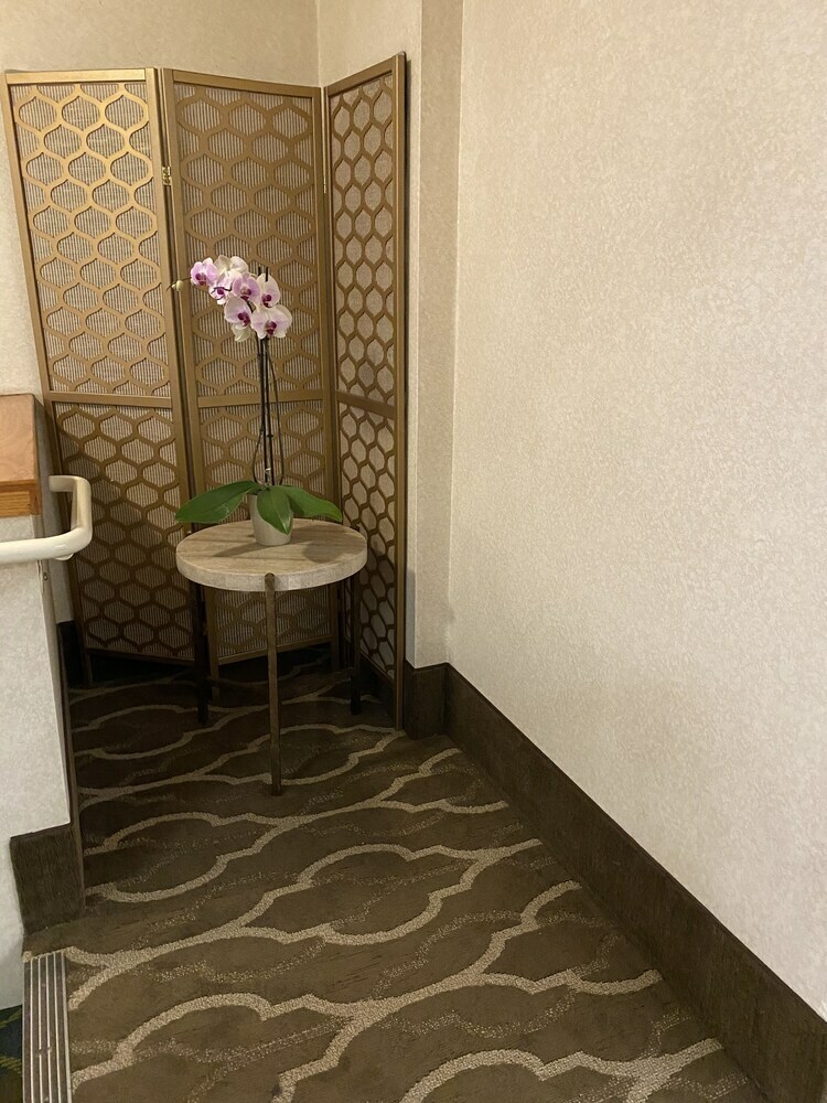 Hotel Comfort Suites