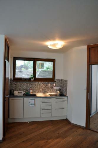 Bratislava Castle Hill Apartment